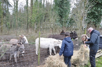 62 enfant chien paques