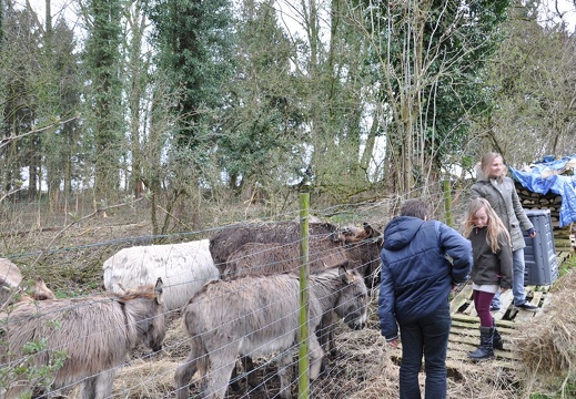 64 enfant chien paques