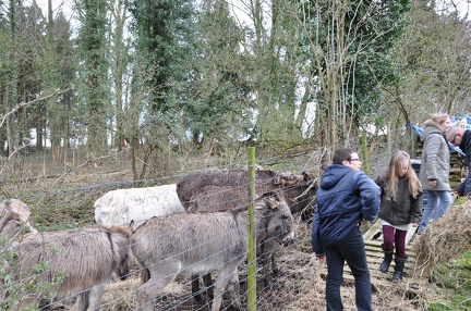65 enfant chien paques