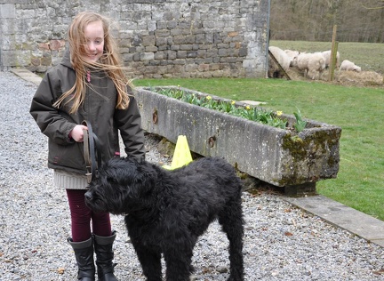 68 enfant chien paques