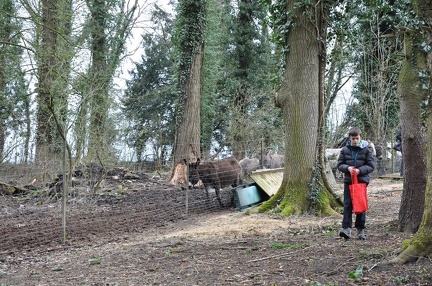 12 enfant chien paques