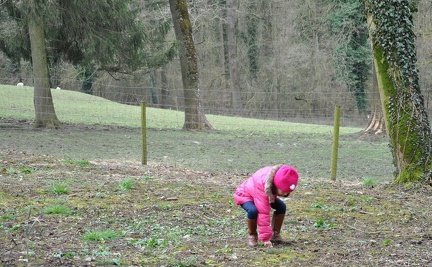 21 enfant chien paques