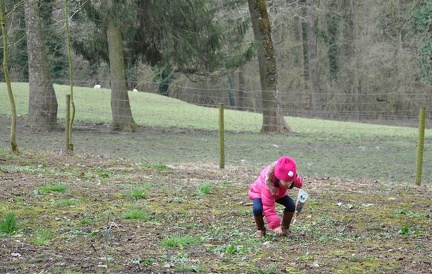 20 enfant chien paques