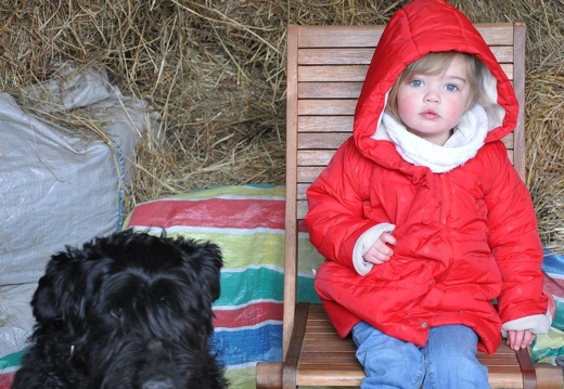 40 enfant chien paques