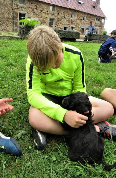 3_enfant_chien_pedadog_2019-07-08.jpg