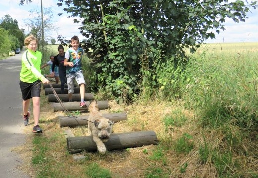 20 enfant chien pedadog 2019-07-09