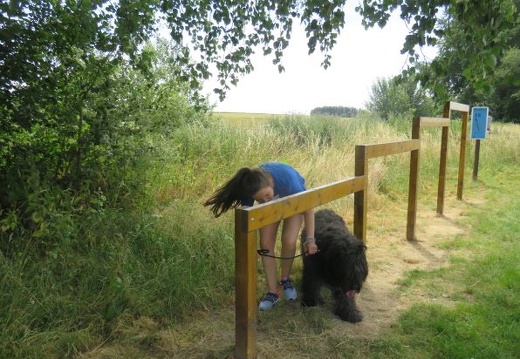 61 enfant chien pedadog 2019-07-10