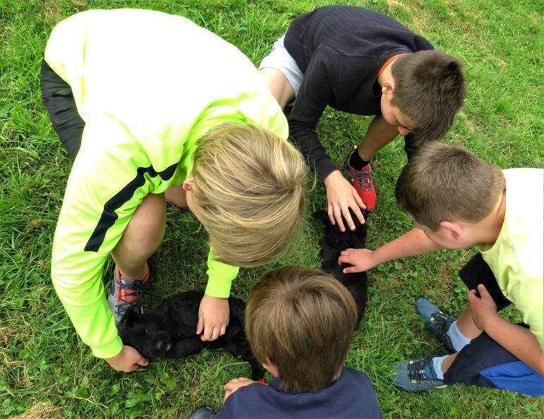 90_enfant_chien_pedadog_2019-07-08.jpg