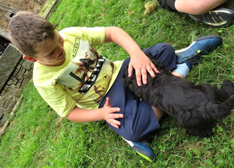 92_enfant_chien_pedadog_2019-07-08.jpg