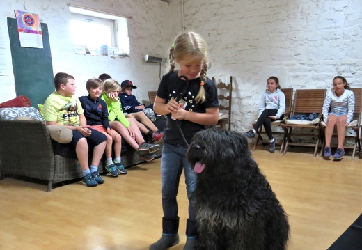 94 enfant chien pedadog 2019-07-08