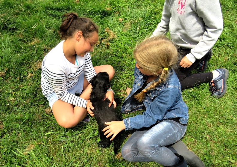 98_enfant_chien_pedadog_2019-07-08.jpg