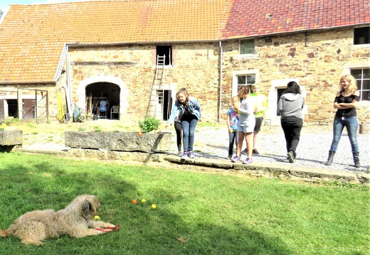 104 enfant chien pedadog 2019-07-09