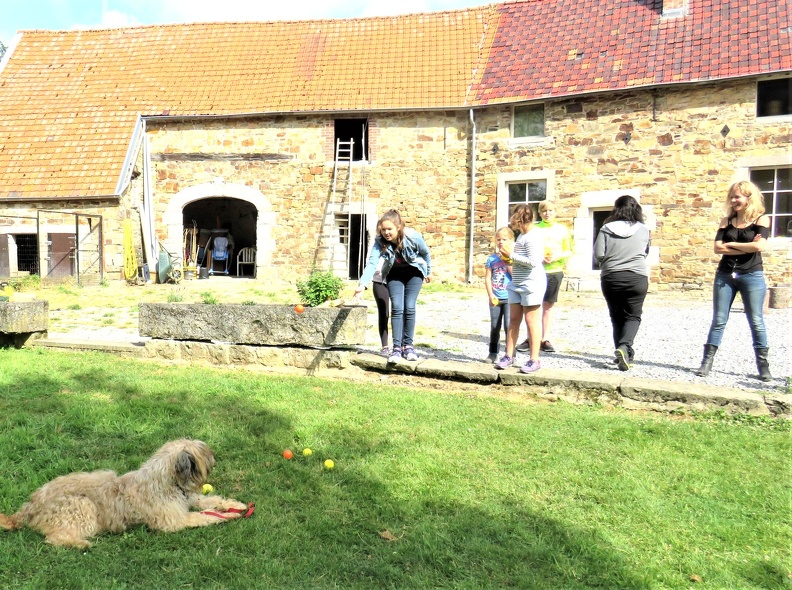 104_enfant_chien_pedadog_2019-07-09.jpg