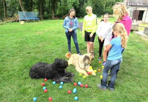 107 enfant chien pedadog 2019-07-09