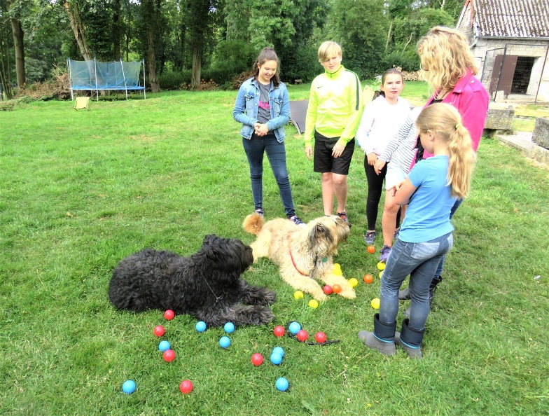 107_enfant_chien_pedadog_2019-07-09.jpg