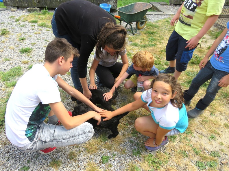 123_enfant_chien_pedadog_2019-07-09.jpg