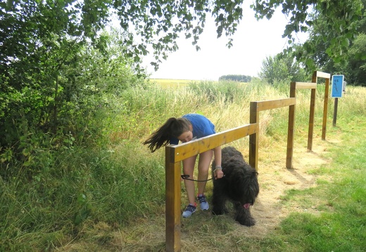 155 enfant chien pedadog 2019-07-10