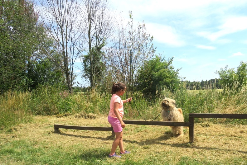 157_enfant_chien_pedadog_2019-07-10.jpg