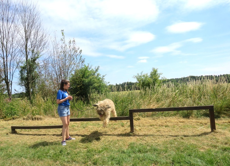 158_enfant_chien_pedadog_2019-07-10.jpg