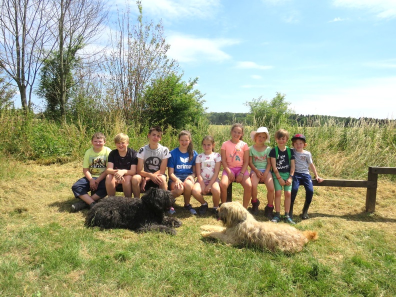 162_enfant_chien_pedadog_2019-07-10.jpg