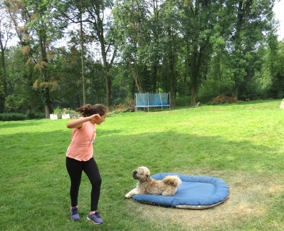 176 enfant chien pedadog 2019-07-12