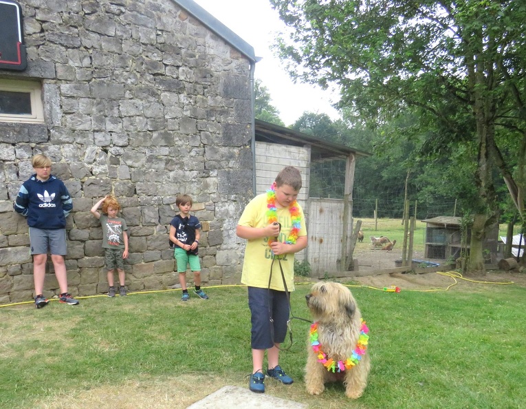 180_enfant_chien_pedadog_2019-07-12.jpg