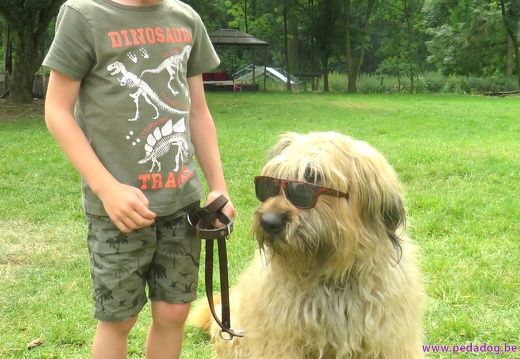 179 enfant chien pedadog 2019-07-12