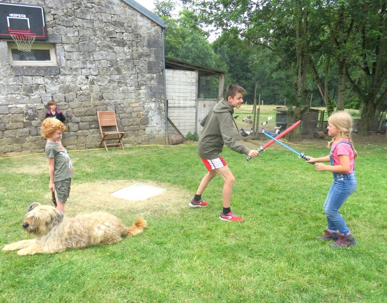 184_enfant_chien_pedadog_2019-07-12.jpg