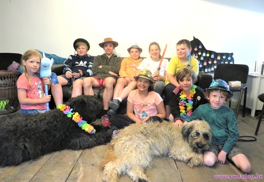 186 enfant chien pedadog 2019-07-12