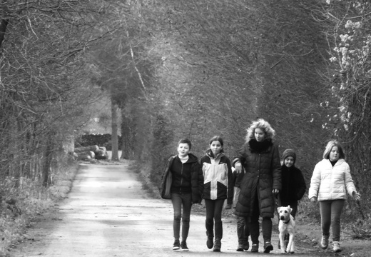 6 enfant chien pedadog 2019-12-24