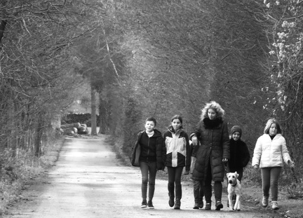 6 enfant chien pedadog 2019-12-24