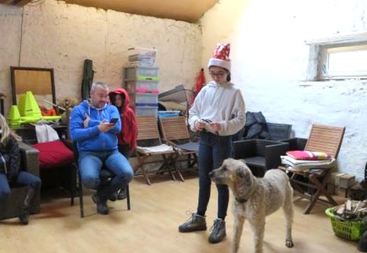 38 enfant chien pedadog 2019-12-27