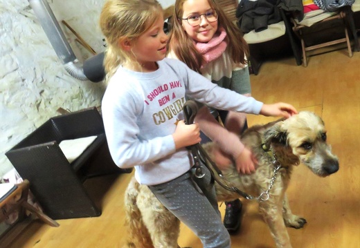 40 enfant chien pedadog 2019-12-23