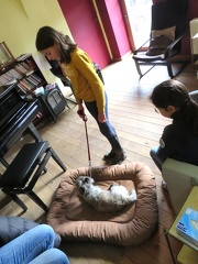 47 enfant chien pedadog 2019-12-24