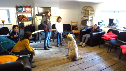 49 enfant chien pedadog 2019-12-24