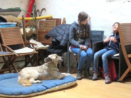 52 enfant chien pedadog 2019-12-24