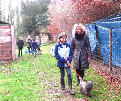 51 enfant chien pedadog 2019-12-24