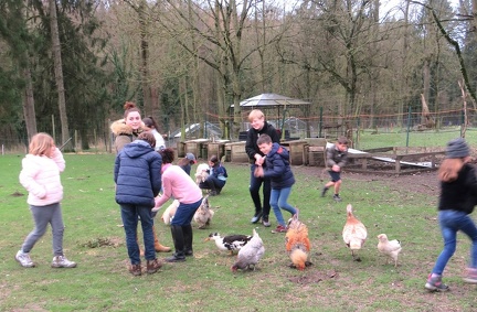 55 enfant chien pedadog 2019-12-24