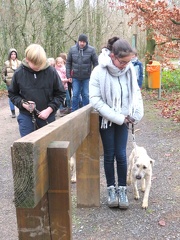 56 enfant chien pedadog 2019-12-26