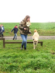 67 enfant chien pedadog 2019-12-26