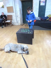 71 enfant chien pedadog 2019-12-27