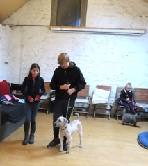 70 enfant chien pedadog 2019-12-27