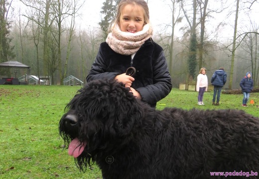 69 enfant chien pedadog 2019-12-27