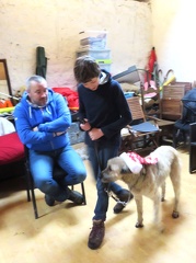 72 enfant chien pedadog 2019-12-27