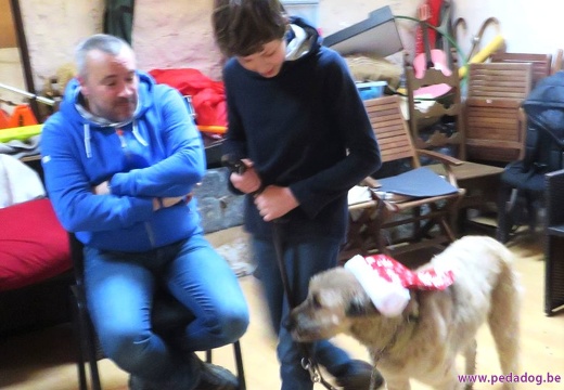 72 enfant chien pedadog 2019-12-27