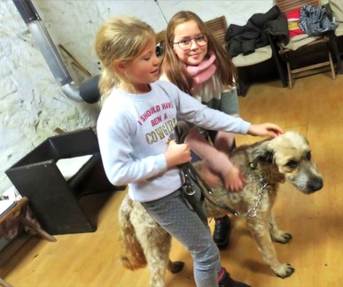 1 enfant chien pedadog 2019-12-23