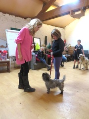 77 enfant chien pedadog 2019-12-27