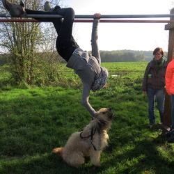 2019 Stage Toussaint