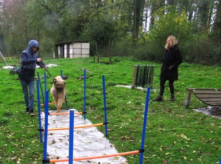 44 enfant chien pedadog 2019-11-01