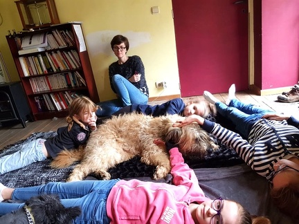 47 enfant chien pedadog 